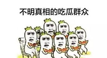 吃瓜群众专吃狗粮,专吃狗粮，乐享甜蜜瞬间