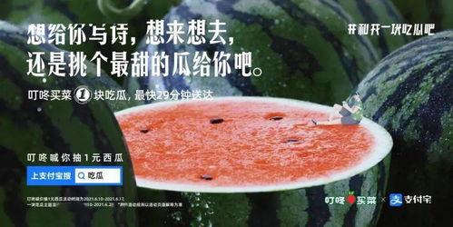 吃西瓜文案今日吃瓜