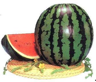 注意旁边吃瓜的人,揭秘“吃瓜群众”背后的故事