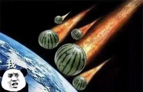 吃瓜趣味文案句子,趣味文案中的吃瓜盛宴