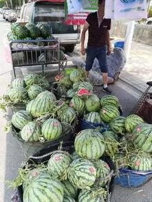 广州永泰吃瓜事件,邻里纠纷引发网络热议