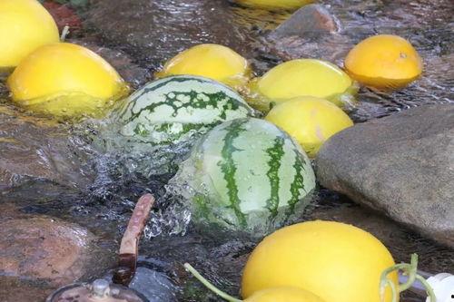 大城吃瓜事件,揭秘网络舆论背后的真相与反思