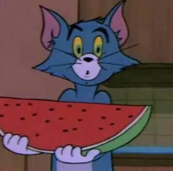 沙雕吃瓜群众,揭秘娱乐圈幕后真相