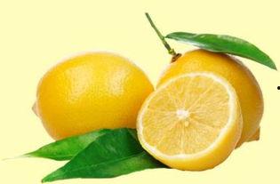 柠檬在吃瓜,吃瓜群众狂欢记