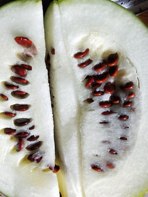 吃瓜先吃皮拆快递,吃瓜先吃瓜皮，揭秘网购新潮流