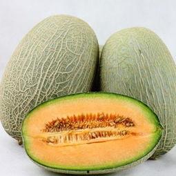 胖大姐吃哈密瓜