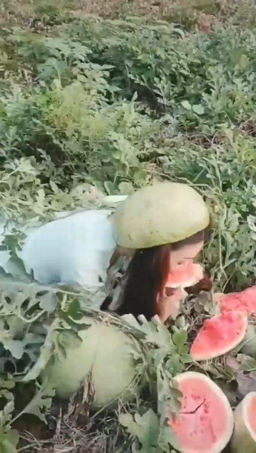 石油小姐姐吃瓜,揭秘娱乐圈幕后故事