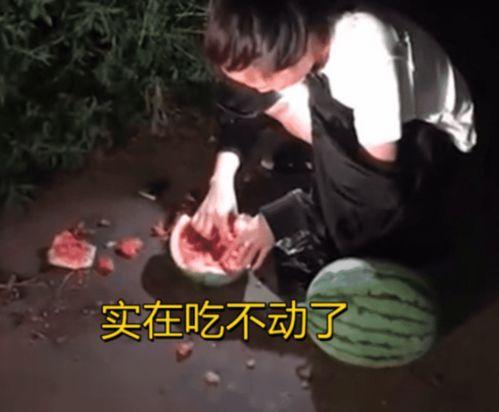 深夜吃瓜视频,揭秘娱乐圈幕后故事