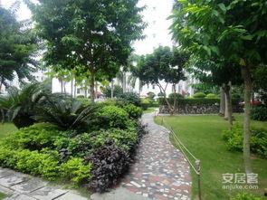 泰和花园吃瓜,夏日吃瓜盛宴，共享清凉时光