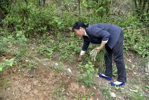 缅北内战大妈吃瓜事件,一场意外引发的全民热议