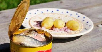 瓜哥吃鲱鱼罐头,揭秘吃鲱鱼罐头的独特体验