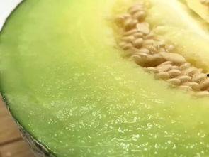 饭后可以吃蜜瓜吗,适宜还是禁忌?揭秘饭后食用蜜瓜的真相